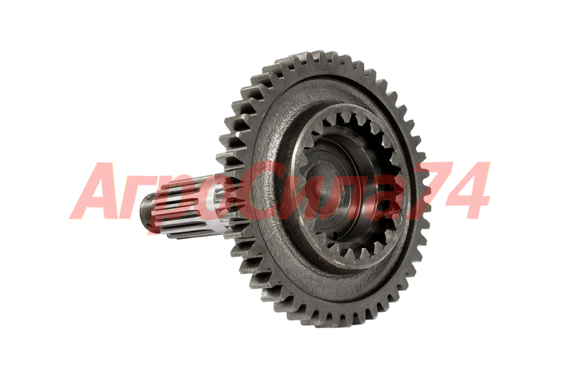     50-1701252 ()