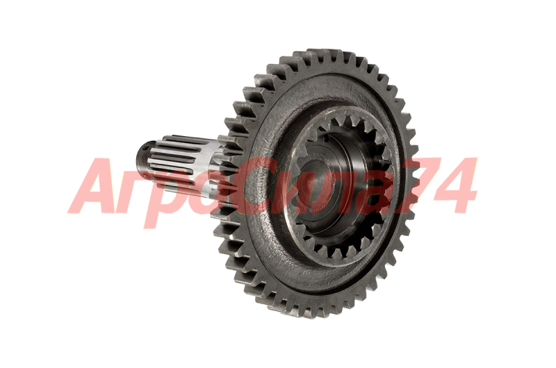     50-1701252 ()